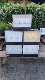 Tentoonstellingskooien, Ophalen, Hout