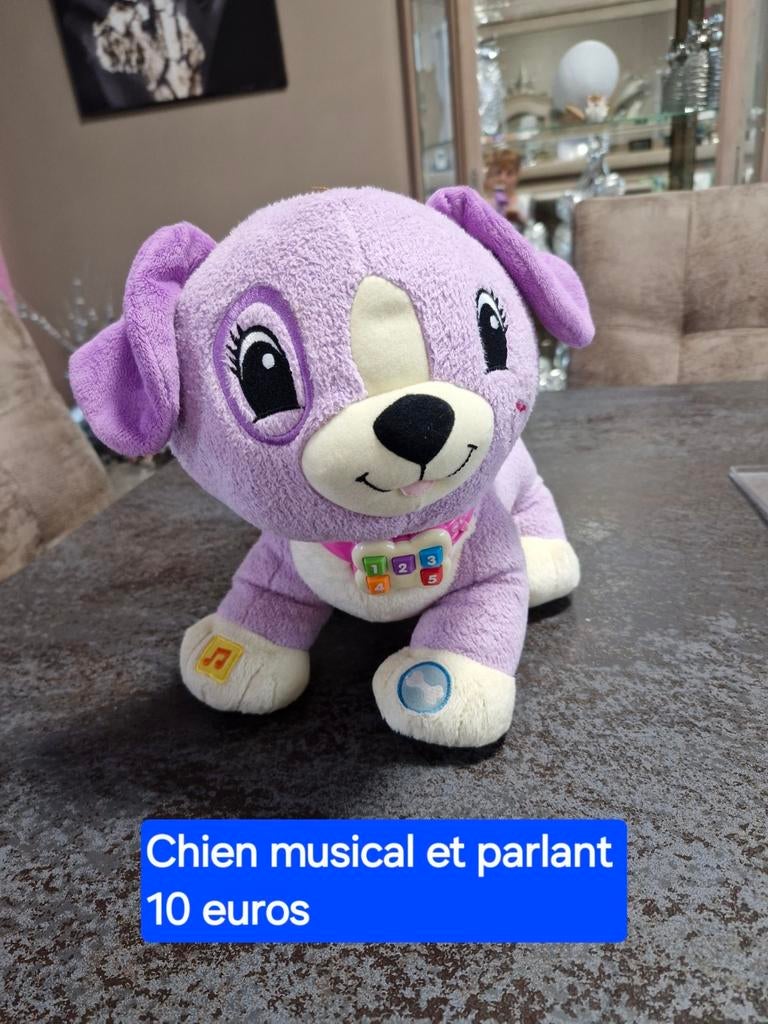 Chien musical et parlant, Enlèvement ou Envoi, Utilisé, Chien