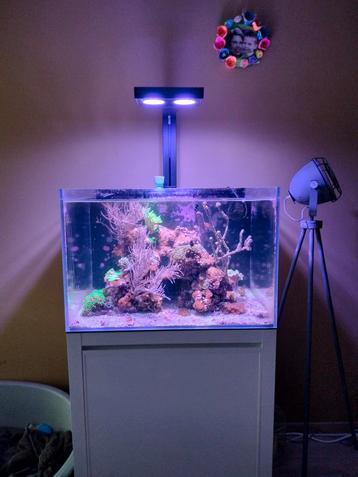 Aqua medic 200, Enlèvement, Comme neuf