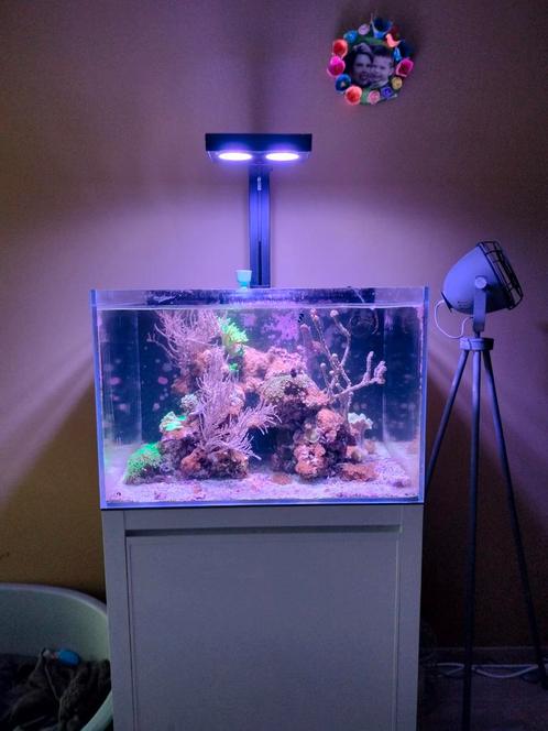 Aqua medic 200, Dieren en Toebehoren, Vissen | Aquaria en Toebehoren, Zo goed als nieuw, Ophalen