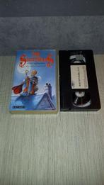 VHS Dag Sinterklaas, Ophalen of Verzenden, Gebruikt, Tv, Overige typen
