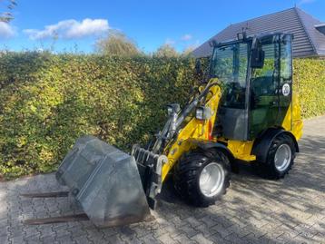 Wacker Neuson WL20 marge topstaat - Kniklader beschikbaar voor biedingen