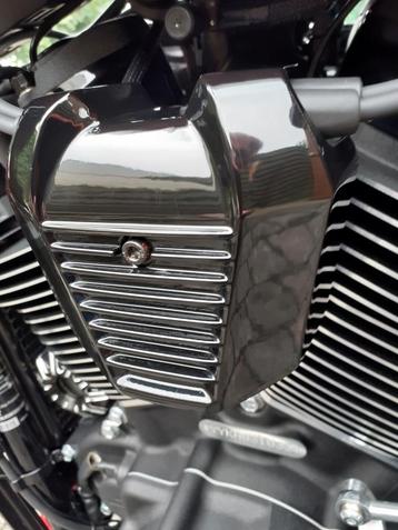 M8 softails bobine cover  beschikbaar voor biedingen