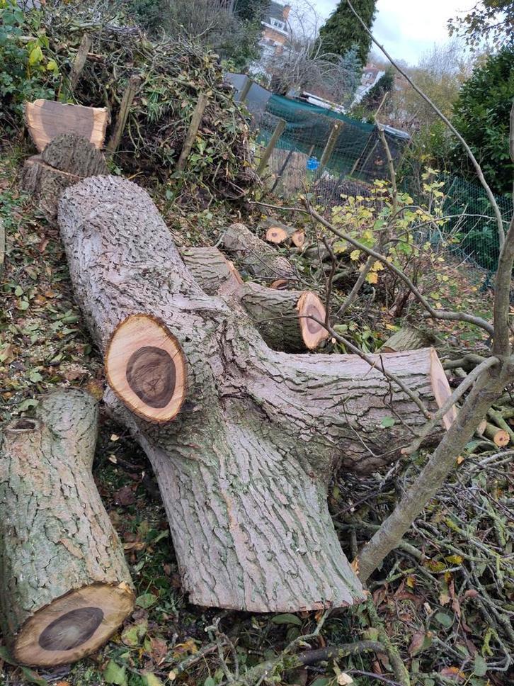 Bois de noyer différentes sections, Bricolage & Construction, Bois & Planches, Enlèvement