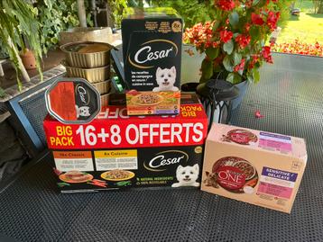 Nourriture pour chien senior, Animaux & Accessoires, Enlèvement, Chien