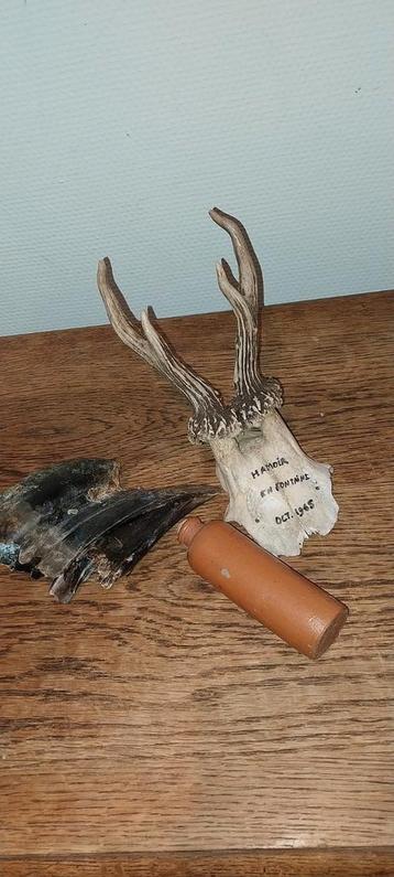 Lot, het bloedbad van het rariteitenkabinet  beschikbaar voor biedingen