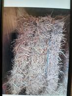 Ballots foin à vendre à la pièce ou par lots, Animaux & Accessoires, Box & Pâturages