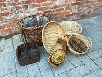 SET RIETEN - BAMBOE - GEVLOCHTEN MANDEN beschikbaar voor biedingen