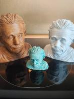 Einstein bustes, Ophalen of Verzenden, Nieuw