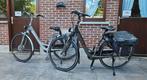 2 Prachtige Elektrische Giant Twist Ease - E Fietsen Te Koop, Fietsen en Brommers, Ophalen, Zo goed als nieuw, Giant