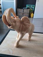 olifant van ivoor perfecte conditie, Ophalen
