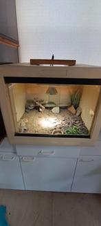 HERPTEK TERRARIUM 60 * 60 * 60, Dieren en Toebehoren, Reptielen en Amfibieën | Toebehoren, Ophalen, Gebruikt