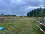Weidemateriaal (eventueel weide) overnemen, Dieren en Toebehoren, Stalling en Weidegang
