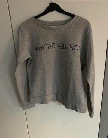 JACQUELINE DE YONG grijze dunnere sweater met opdruk: S beschikbaar voor biedingen