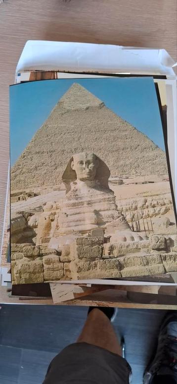 artis historia beschikbaar voor biedingen