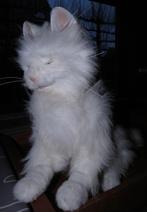 speelgoed kat, Kinderen en Baby's, Speelgoed | Knuffels en Pluche, Ophalen of Verzenden, Gebruikt, Poes