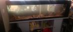 groot aquarium compleet, Dieren en Toebehoren, Ophalen, Gebruikt, Gevuld zoetwateraquarium