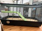 Hamsterkooi, Dieren en Toebehoren, Knaagdieren, Hamster, Geslacht onbekend, Januari, Tam