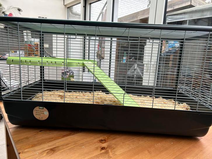 Hamsterkooi, Dieren en Toebehoren, Knaagdieren, Geslacht onbekend, Hamster, Januari, Tam