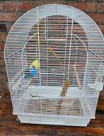 Couple de Perruche + cage sur pied, Dieren en Toebehoren, Vogels | Parkieten en Papegaaien, Parkiet