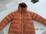 jas Finger in the Nose - niet gedragen, Kinderen en Baby's, Kinderkleding | Maat 146, Ophalen, Nieuw, Jongen of Meisje, Jas