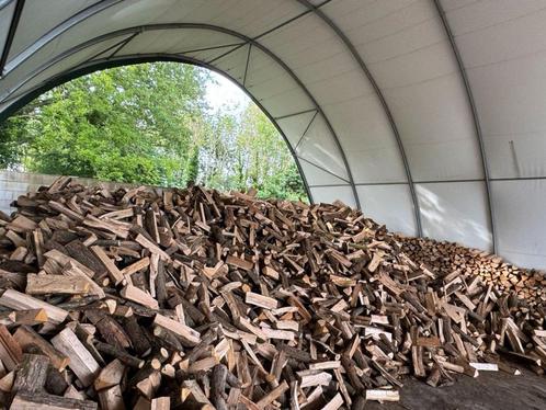 Bois de chauffage, Tuin en Terras, Brandhout, Blokken, Overige houtsoorten, 6 m³ of meer, Verzenden