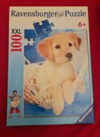 Puzzel : hond / puppy 100 stukken XXL ravensburger, Ophalen of Verzenden, Zo goed als nieuw