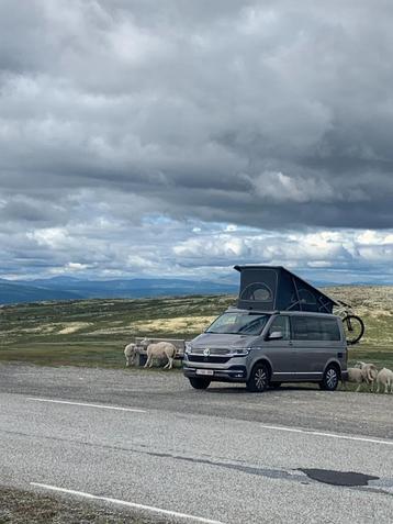 camper beschikbaar voor biedingen