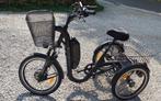 Tricycle électrique full option, Vélos & Vélomoteurs, Evasion, Comme neuf, Enlèvement