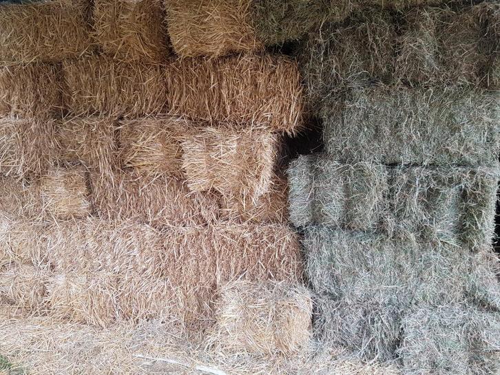 foin et paille à vendre, Dieren en Toebehoren, Dierenvoeding, Ophalen of Verzenden