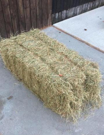 Kleine balen hooi beschikbaar voor biedingen