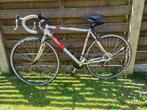 kOERSFIETS, Fietsen en Brommers, Fietsen | Racefietsen, Gebruikt, Carbon, Heren, Overige maten