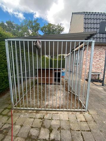 Hondenren beschikbaar voor biedingen
