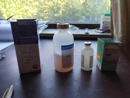 Vaccin blauwtong schapen/ geiten/ alpaca te koop., Dieren en Toebehoren, Schapen, Geiten en Varkens, Schaap