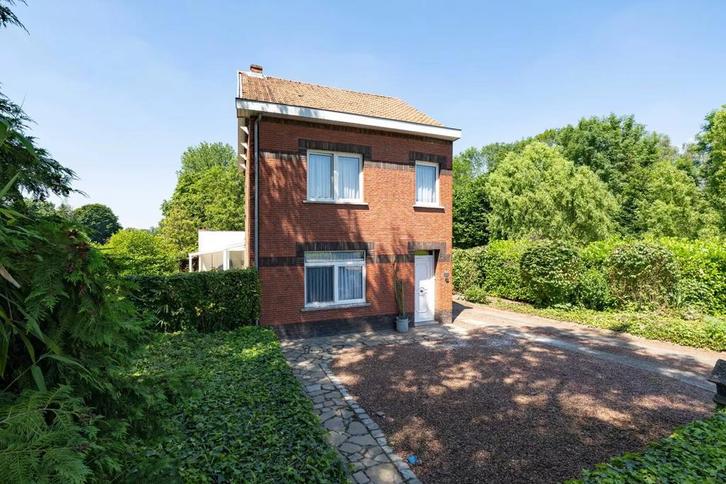 Woning met bos in Hasselt, Immo, Huizen en Appartementen te koop, Hasselt, 1000 tot 1500 m², Vrijstaande woning, D