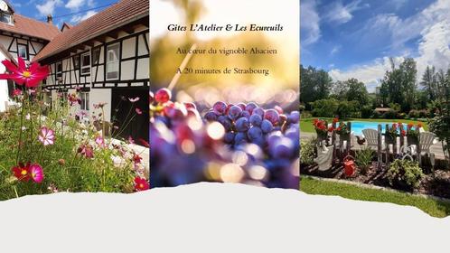 Gite 4 personnes au coeur du vignoble alsacien., Vakantie, Vakantiehuizen | Frankrijk, Elzas of Lotharingen, Overige typen, Dorp