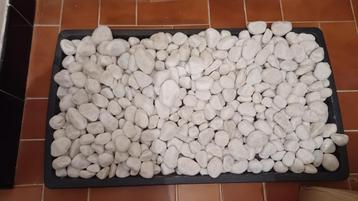 Barefoot keien bak schaal  beschikbaar voor biedingen