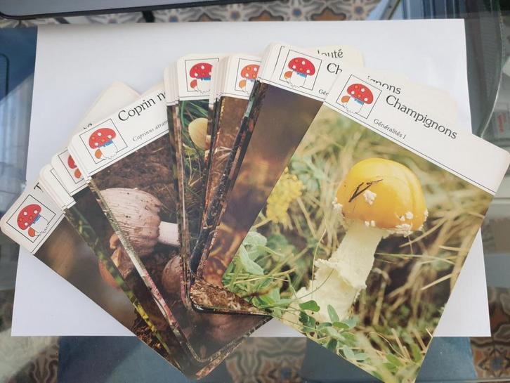 Cartes EDITO-SERVICE - Champignons/Plantes/recettes, Verzamelen, Complete verzamelingen en Collecties, Ophalen of Verzenden