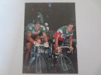 wielerkaart 1981 team colnago giuseppe saronni - moser, Comme neuf, Envoi