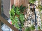 Planten, Tickets en Kaartjes