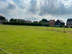 Gedraineerde weide met stal te huur in Waarloos/Rumst, Dieren en Toebehoren, Stalling en Weidegang, Weidegang