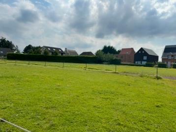 Gedraineerde weide met stal te huur in Waarloos/Rumst, Pâturage