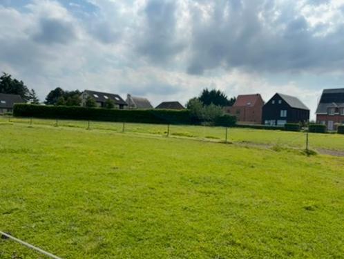 Gedraineerde weide met stal te huur in Waarloos/Rumst, Dieren en Toebehoren, Stalling en Weidegang, Weidegang