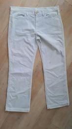 Broek CARHARTT/ ribfluweel / lichtblauw / 46, Kleding | Dames, Blauw, Maat 46/48 (XL) of groter, Ophalen of Verzenden, Lang