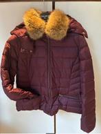 Winter donsjas dames, modekleur !!!, Kleding | Dames, Jassen | Winter, Maat 38/40 (M), Overige kleuren, Caroll, Nieuw