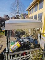 aquarium, Ophalen of Verzenden, Zo goed als nieuw, Gevuld zoetwateraquarium