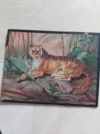 Vintage tijger jaren 70 schilderij, Ophalen of Verzenden