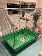 Vogelkooi met speelgoed20, Ophalen, Vogelkooi