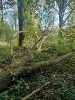 Bois de chauffage chêne contre aide au bois, Jardin & Terrasse, Bois de chauffage, Enlèvement, Chêne