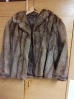 Korte bontjas dames nerts, Ophalen, Zo goed als nieuw, Maat 38/40 (M), Overige kleuren